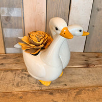 Ducky in Love