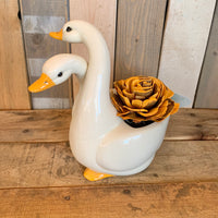Ducky in Love