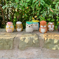 Small Succulent Animals - Multiple Available