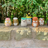 Small Succulent Animals - Multiple Available