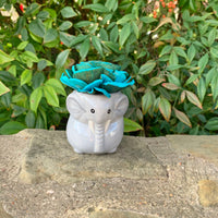 Small Succulent Animals - Multiple Available