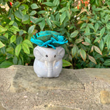 Small Succulent Animals - Multiple Available