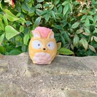Small Succulent Animals - Multiple Available