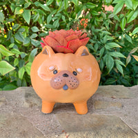 Medium Dog Planter