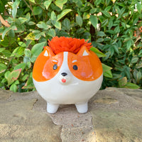 Medium Dog Planter