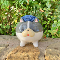Medium Dog Planter