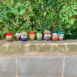 Succulent Owl