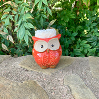 Succulent Owl