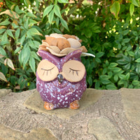 Succulent Owl
