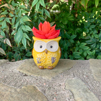 Succulent Owl