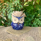 Succulent Owl