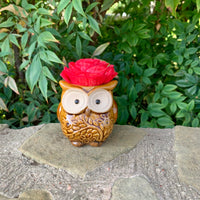 Succulent Owl