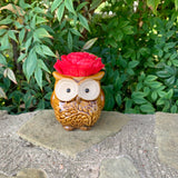 Succulent Owl