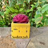 Small "Teachers Rule" Flowers & Succulents