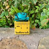 Small "Teachers Rule" Flowers & Succulents