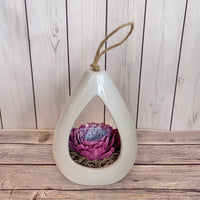 Purple Succlent Teardrop Vase