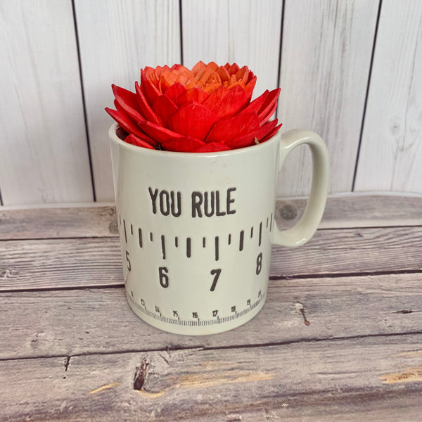 You Rule Teacher Mug