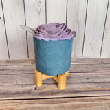 Succulent Pot & Stand Planter