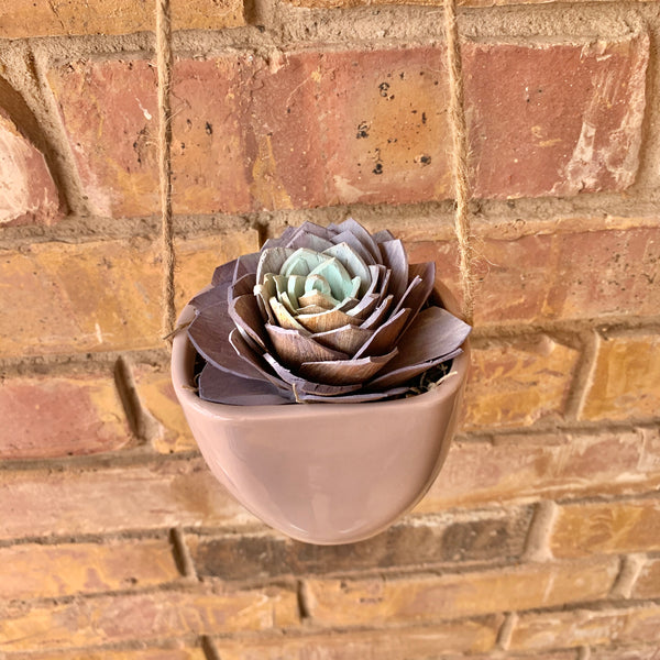 Purple/Turquoise Succulent in Hanging Vase
