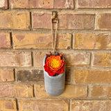 Red/Orange/Yellow Succulent in Hanging Vase