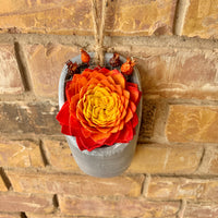 Red/Orange/Yellow Succulent in Hanging Vase