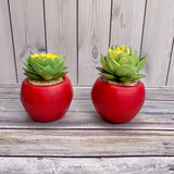 Small Teacher Apple