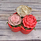 Succulent Heart Vase - Mulitple Options Available