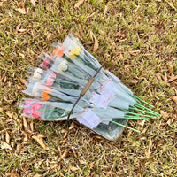Long Stemmed Hand-made Wood Flowers