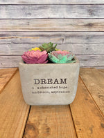 Dream Cement Succulent Planters