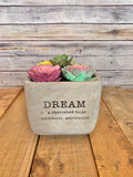 Dream Cement Succulent Planters