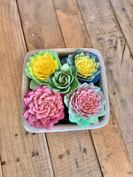 Dream Cement Succulent Planters