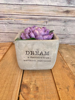 Dream Cement Succulent Planters