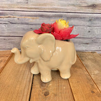Elegant Ellie the Elephant