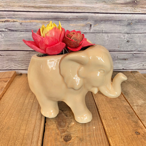 Elegant Ellie the Elephant