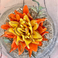 Yellow/Orange Succulent in Glass Vase