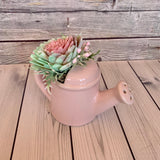 Small Ceramic Watering Pail Arrangments