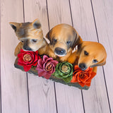 Welcome Dogs - Multipple Available
