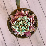 Succulent in Olive Bucket - Multiple Available