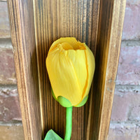 Tulip Shadow Boxes - Multiple Available