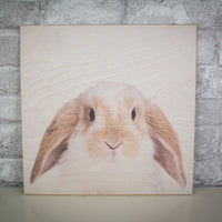 Animal Wood Print Kit - Multiple Animals Available