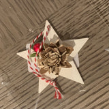 Small Star/Snowflake Ornament